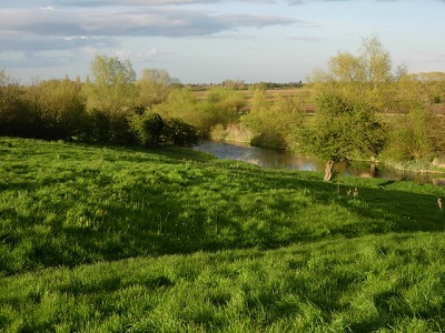 Grantchester meadows