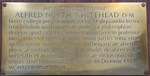 Whitehead brass